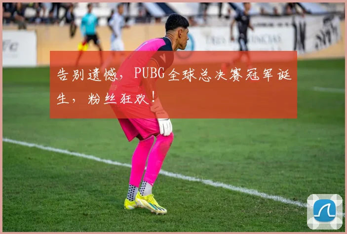 告别遗憾，PUBG全球总决赛冠军诞生，粉丝狂欢！
