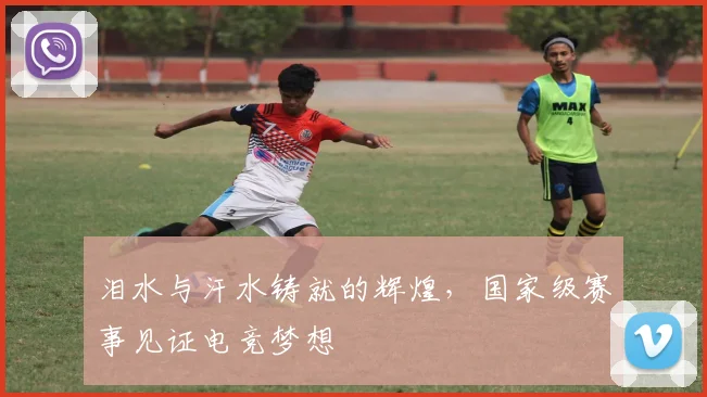 泪水与汗水铸就的辉煌，国家级赛事见证电竞梦想