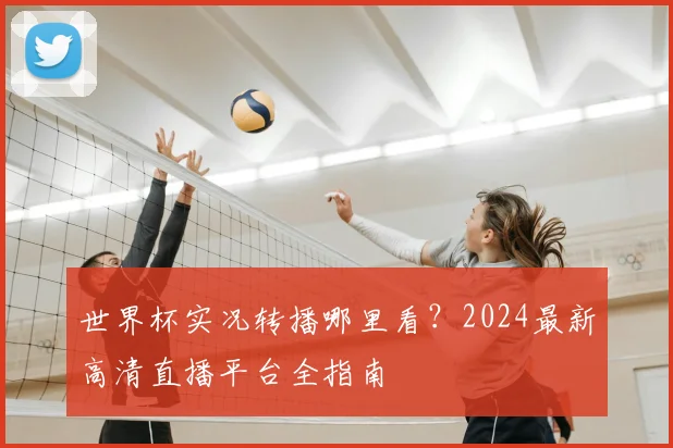 世界杯实况转播哪里看？2024最新高清直播平台全指南