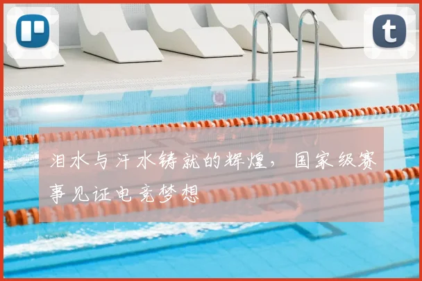 泪水与汗水铸就的辉煌，国家级赛事见证电竞梦想